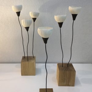 « Fleur de Soie »