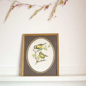 Lithographie encadrée 2 oiseaux Mésanges Charbonnière « Great Tit » by Murr