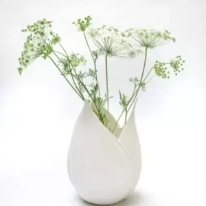 Vase Tulipe