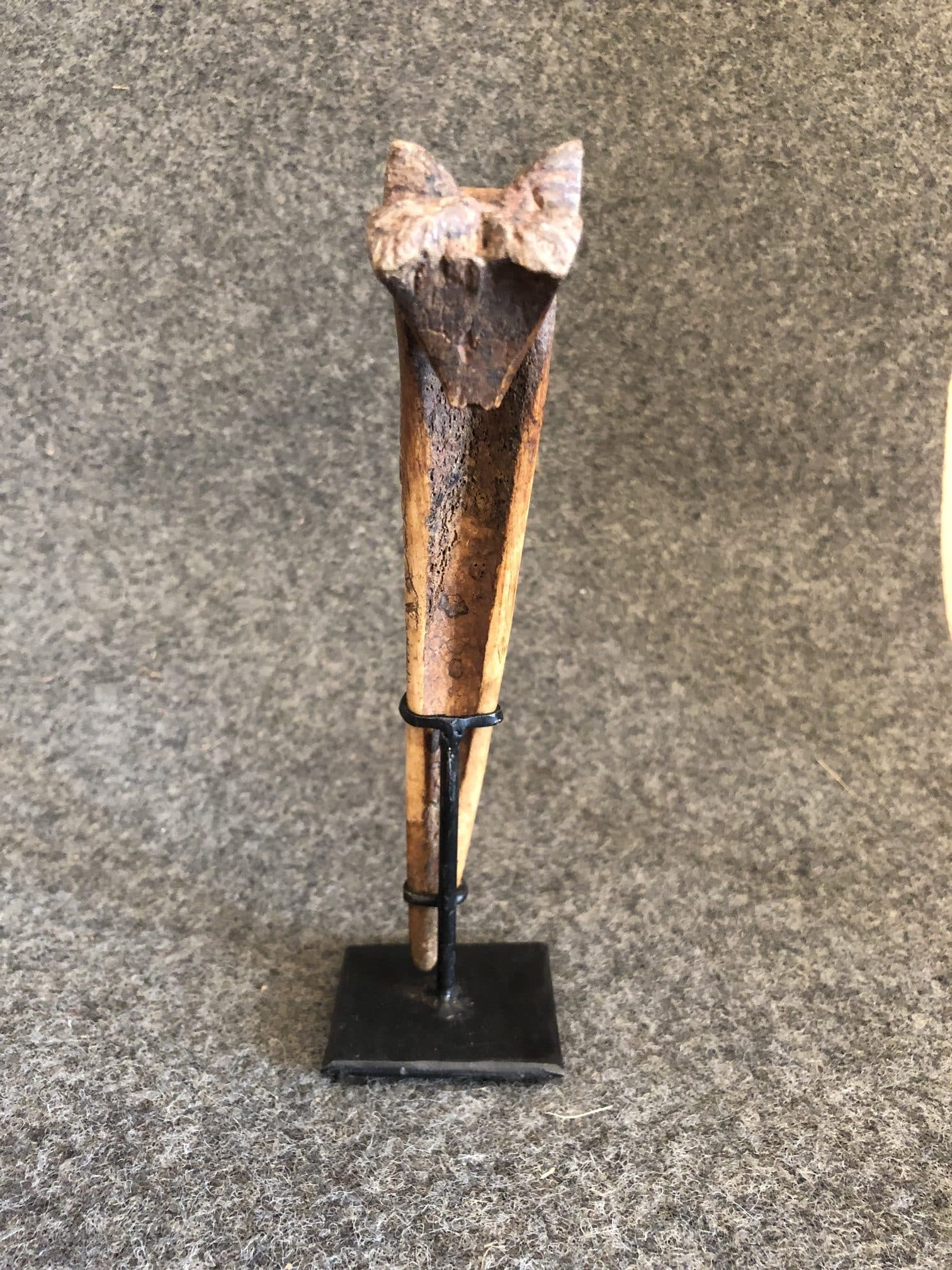Os gravé d’Océanie, fin XIXe siècle – Image 6